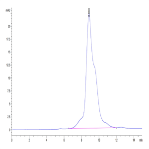 Mouse MMP-8 Protein (pro form) (MMP-MM108)