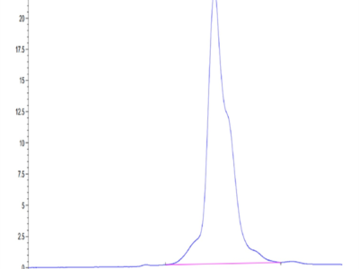 Mouse MMP-8 Protein (pro form) (MMP-MM108)