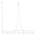 Mouse MMP-9 Protein (MMP-MM109)