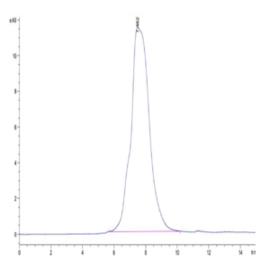 Mouse MMP-9 Protein (MMP-MM109)