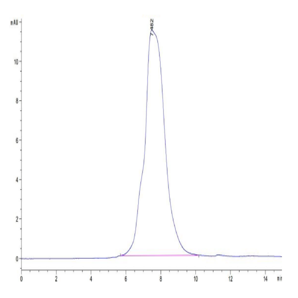 Mouse MMP-9 Protein (MMP-MM109)