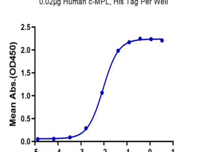 Human c-MPL/Thrombopoietin R Protein (MPL-HM101)