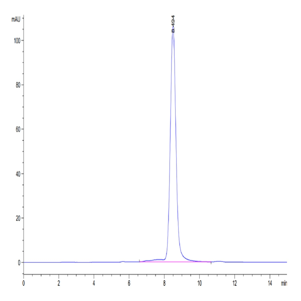 Human c-MPL/Thrombopoietin R Protein (MPL-HM101)
