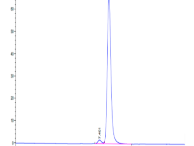 Canine MRC2 Protein (MRC-DM102)