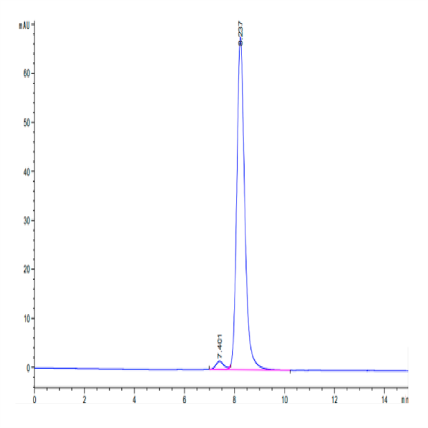 Canine MRC2 Protein (MRC-DM102)