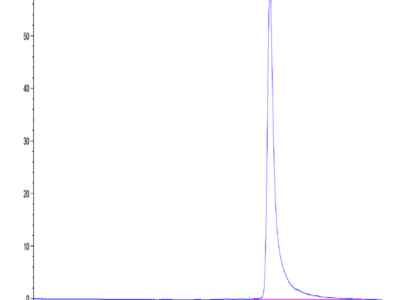 Human MARCO Protein (MRO-HM102)