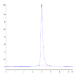 Mouse MARCO Protein (MRO-MM101)