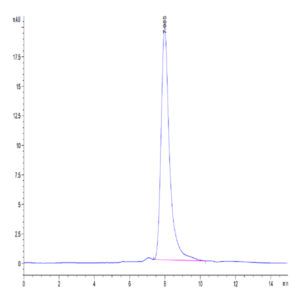 Mouse MARCO Protein (MRO-MM101)