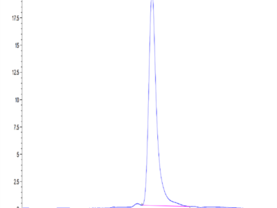 Mouse MARCO Protein (MRO-MM101)