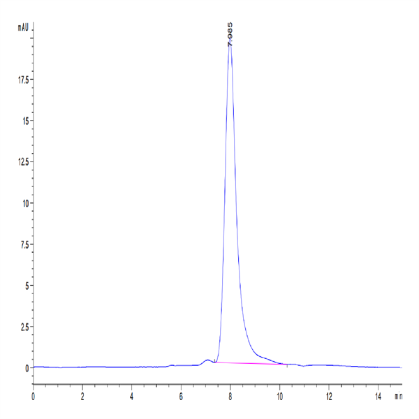 Mouse MARCO Protein (MRO-MM101) Mouse MARCO Protein (MRO-MM101)