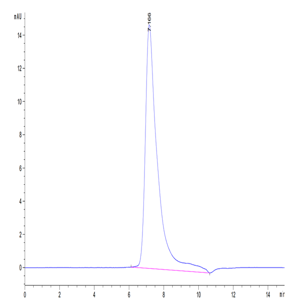 Cynomolgus MSLN/Mesothelin Protein (MSL-CM180)