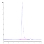 Biotinylated Cynomolgus MSLN/Mesothelin Protein (Primary Amine Labeling) (MSL-CM180B)