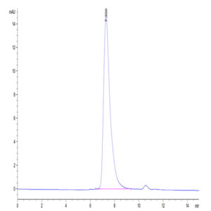 Biotinylated Cynomolgus MSLN/Mesothelin Protein (Primary Amine Labeling) (MSL-CM180B)