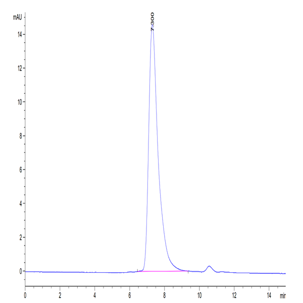 Biotinylated Cynomolgus MSLN/Mesothelin Protein (Primary Amine Labeling) (MSL-CM180B)