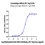 Cynomolgus MSLN/Mesothelin Protein (MSL-CM280)