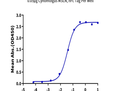 Cynomolgus MSLN/Mesothelin Protein (MSL-CM280)