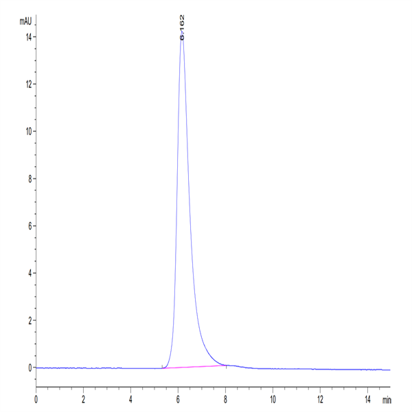 Cynomolgus MSLN/Mesothelin Protein (MSL-CM280)