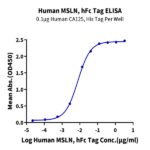 Human MSLN/Mesothelin Protein (MSL-HM280)