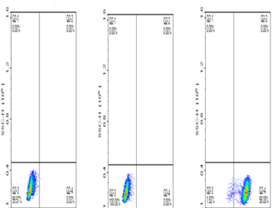 FITC-Labeled Human MSLN/Mesothelin Protein (MSL-HM280F)