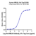 Human MSLN/Mesothelin Protein (MSL-HM480)