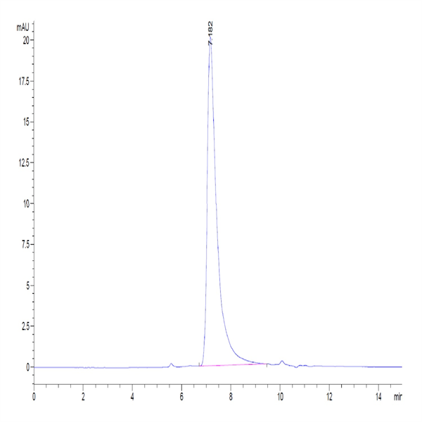 Human MSLN/Mesothelin Protein (MSL-HM480)