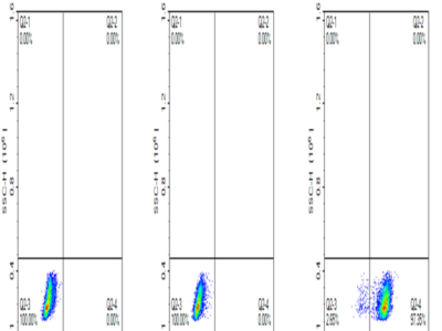 FITC-Labeled Human MSLN/Mesothelin Protein (MSL-HM480F)