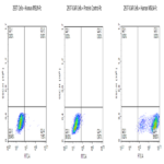 Biotinylated Human MSLN/Mesothelin Protein (MSL-HM580B)