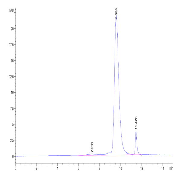 Biotinylated Mouse MSLN/Mesothelin Protein (Primary Amine Labeling) (MSL-MM180B)