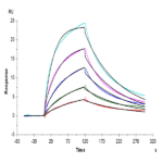 Human MASP2 Protein (MSP-HE102)