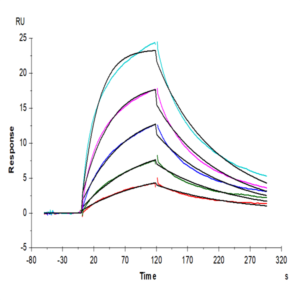 Human MASP2 Protein (MSP-HE102)