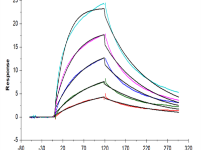 Human MASP2 Protein (MSP-HE102)