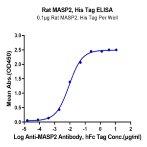 Rat MASP2 Protein (MSP-RE102)