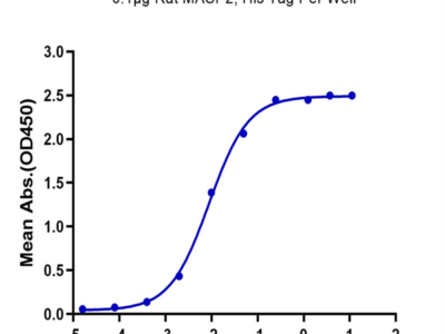 Rat MASP2 Protein (MSP-RE102)