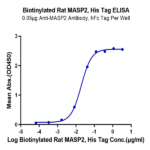 Biotinylated Rat MASP2 Protein (Primary Amine Labeling) (MSP-RE102B)