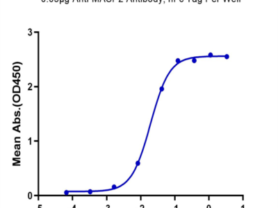 Biotinylated Rat MASP2 Protein (Primary Amine Labeling) (MSP-RE102B)