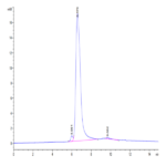 Human MSR1 Protein (MSR-HM101)