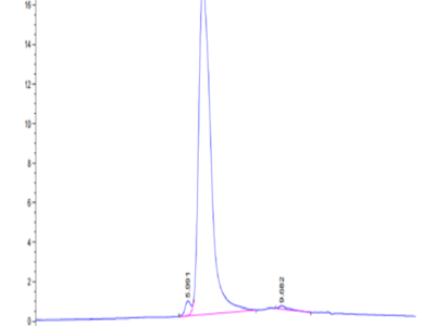 Human MSR1 Protein (MSR-HM101)