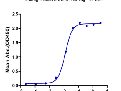 Human MUC18/CD146 Protein (MUC-HM118)