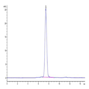 Human MUC18/CD146 Protein (MUC-HM118)