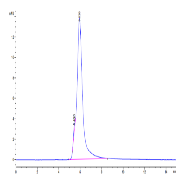 Human MUC1 Isoform Y Protein (MUC-HM2Y1) Human MUC1 Isoform Y Protein (MUC-HM2Y1)