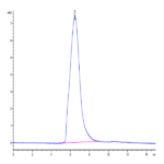 Mouse MUC18/CD146 Protein (MUC-MM118)