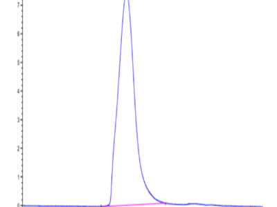 Mouse MUC18/CD146 Protein (MUC-MM118)