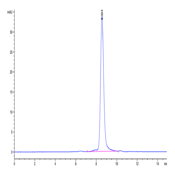 Human MXRA8 Protein (MXR-HM1A8) Human MXRA8 Protein (MXR-HM1A8)