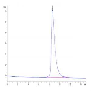 Mouse MXRA8 Protein (MXR-MM1A8)