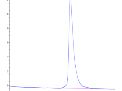 Mouse MXRA8 Protein (MXR-MM1A8)