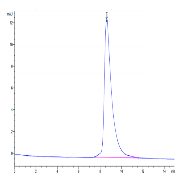 Mouse MXRA8 Protein (MXR-MM1A8) Mouse MXRA8 Protein (MXR-MM1A8)