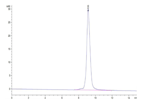 Monkeypox virus A35R Protein, A35-VM10R Ushelf Monkeypox virus A35R Protein, A35-VM10R Ushelf