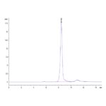 Mouse AFP Protein, AFP-MM101