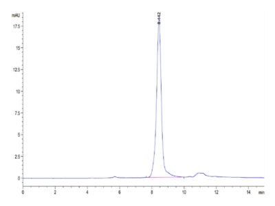 Mouse AFP Protein, AFP-MM101 Ushelf
