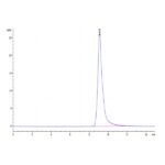 Mouse AGR-2 Protein , AGR-ME102
